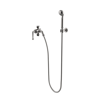 Waterworks Dash Handshower on Hook with Diverter and Cross Handle
