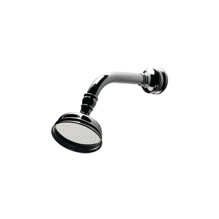 Waterworks Etoile Wall Mounted 4 1/2" Shower Rose, Arm and Flange