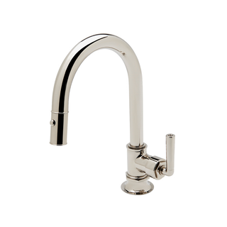 Waterworks Henry Mid-Size One Hole Gooseneck Integrated Pull Spray Kitchen Faucet with Lever Handle
