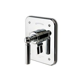 Waterworks Ludlow Pressure Balance with Diverter Trim with Metal Lever Handle