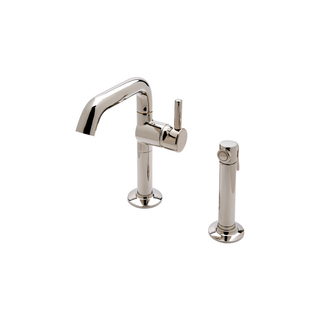 Waterworks .25 One Hole High Profile Kitchen Faucet, Short Metal Handle and Metal Spray