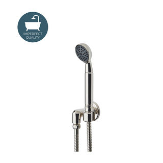 Waterworks Ludlow Volta Handshower on Hook