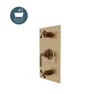 Waterworks Henry Integrated Thermostatic and Dual Volume Control Trim with Cross and Lever Handle