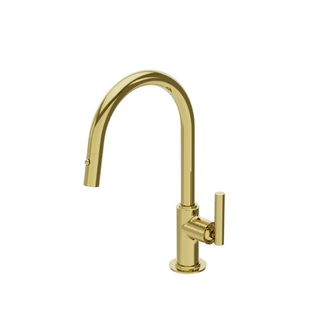 Waterworks Bond Solo Series One Hole Gooseneck Integrated Pull Spray Kitchen Faucet  with Straight Lever Handle