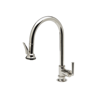 Waterworks Henry One Hole Gooseneck Integrated Pull Spray Kitchen Faucet with Lever Handle