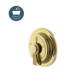Waterworks Foro Thermostatic Control Valve Trim with Metal Lever Handle