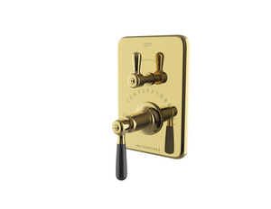 Waterworks Riverun Integrated Thermostatic and Volume Control Trim with Two-Tone Lever Handle in Brass/Matte Black