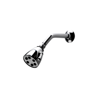 Waterworks Universal 2 3/4" Shower Head, Arm and Flange with Adjustable Spray