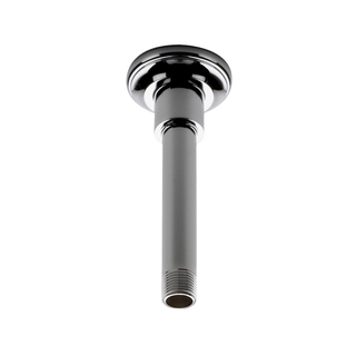 Waterworks Universal Vertical Shower Arm and Flange