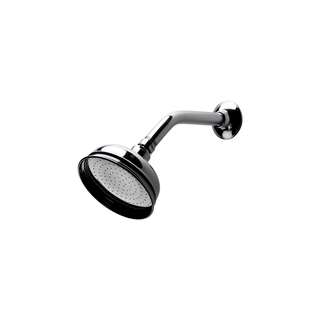 Waterworks Universal Shower Arm and Flange