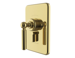 Waterworks Ludlow Pressure Balance with Diverter Trim with Lever Handle in Brass