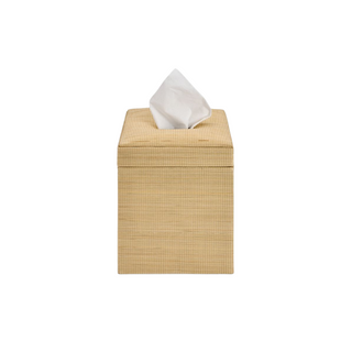 Waterworks Tarlac Tissue Cover
