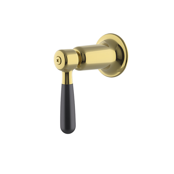 Waterworks Riverun Lever Volume Control Handle in Brass/ Matte Black