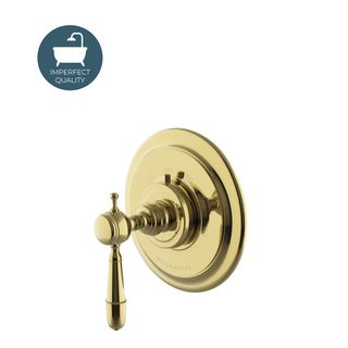 Waterworks Julia Thermostatic Control Valve Trim with Metal Lever Handle