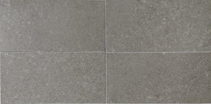 Waterworks Studio Stone Field Tile 3 x 6 x 3/8" in Argent Polished