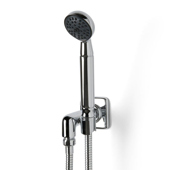 Waterworks Ludlow Handshower on Hook in Nickel