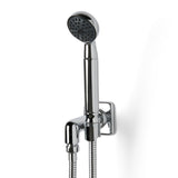 Waterworks Ludlow Handshower on Hook in Chrome