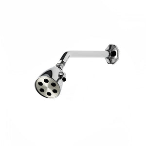 Waterworks Roadster Shower Arm and Flange in Brass with Universal Transitional 3 1/2" Shower Head