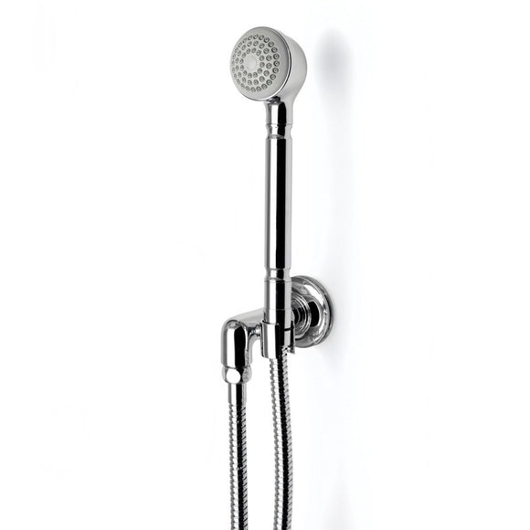 Waterworks Transit Handshower On Hook with Metal Handle in French Bronze